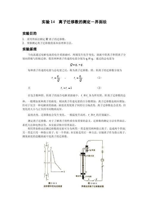 《物化实验报告范本》实验14离子迁移数的测定