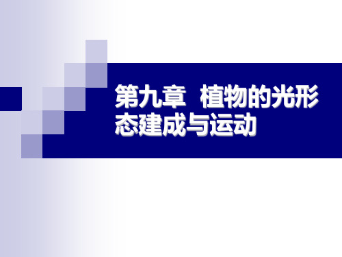植物的光形态建成与运动