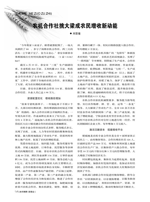农机合作社挑大梁成农民增收新动能