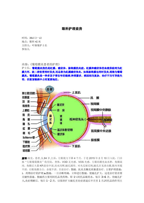 葡萄膜炎护理查房