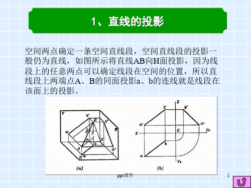 工程制图--直线的投影  ppt课件