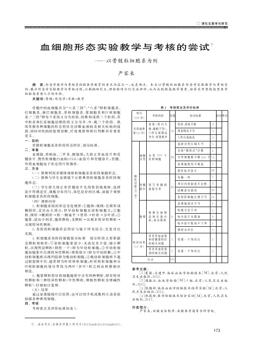 血细胞形态实验教学与考核的尝试——以骨髓粒细胞系为例