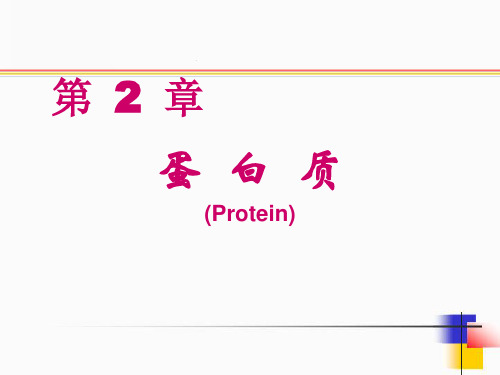 《生物化学简明教程》第四版-第二章蛋白质