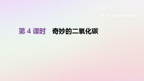 2019年中考化学复习第2章身边的化学物质第4课时奇妙的二氧化碳课件