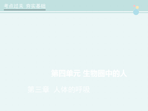 中考生物总复习课件:第4单元第3章《人体的呼吸》