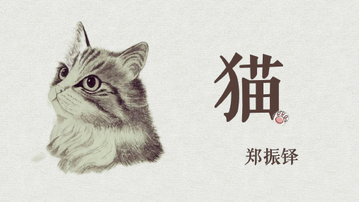 第16课《猫》课件-部编版语文七年级上册