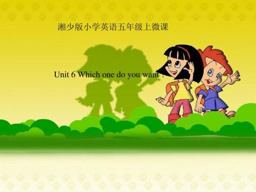 微课课件Unit 6 Which one do you want