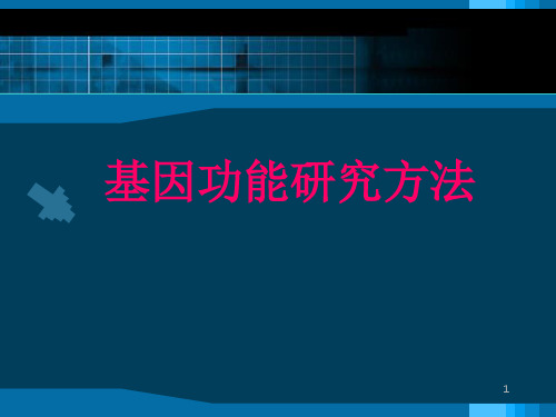 基因功能研究方法