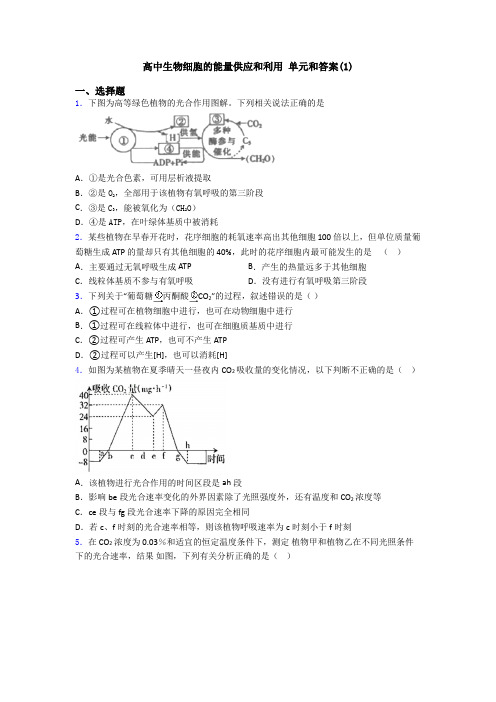 高中生物细胞的能量供应和利用 单元和答案(1)