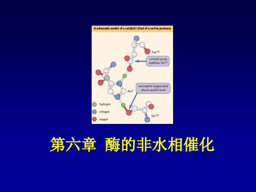 酶的非水相催化