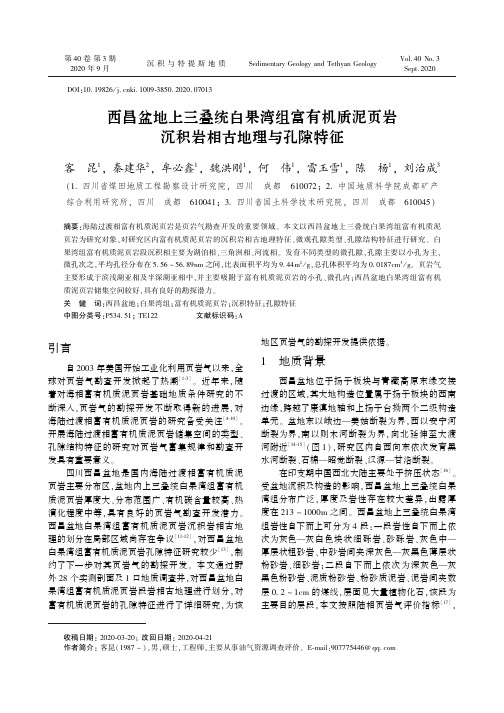 西昌盆地上三叠统白果湾组富有机质泥页岩沉积岩相古地理与孔隙特征