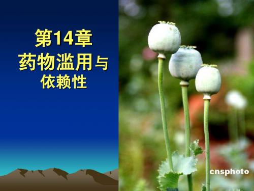 014 药物滥用与依赖性药物20101031