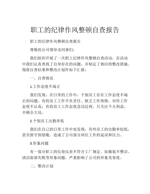 职工的纪律作风整顿自查报告