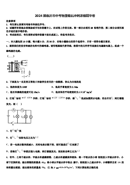 2024届临沂市中考物理最后冲刺浓缩精华卷含解析