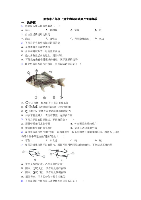 丽水市八年级上册生物期末试题及答案解答