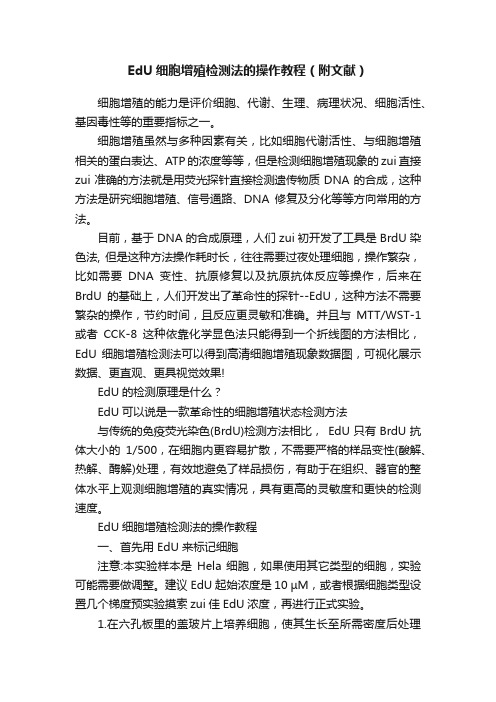 EdU细胞增殖检测法的操作教程（附文献）