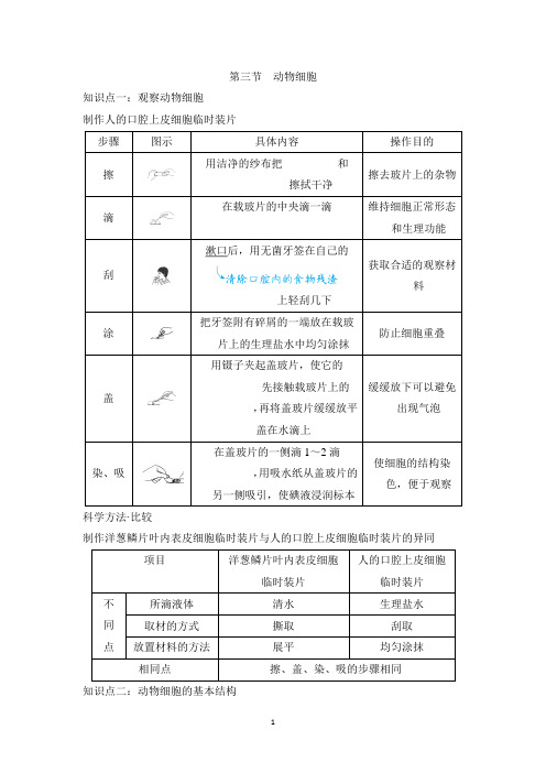 人教版七年级上册生物第一单元第二章第三节知识点总结