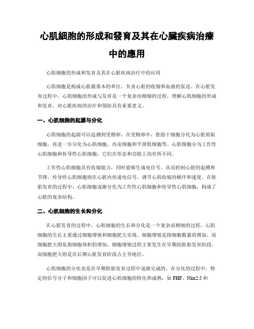 心肌细胞的形成和发育及其在心脏疾病治疗中的应用