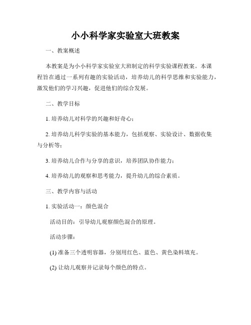 小小科学家实验室大班教案