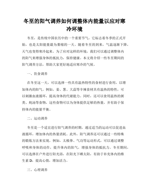 冬至的阳气调养如何调整体内能量以应对寒冷环境