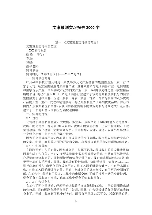 文案策划实习报告3000字