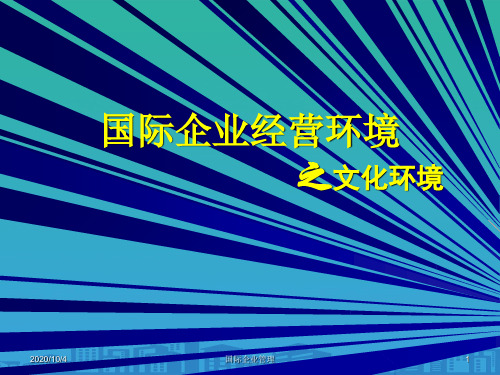 国际企业经营环境之企业文化环境(ppt 41页)