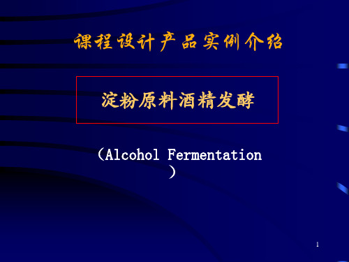 酒精发酵工艺过程ppt