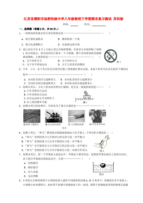 江苏省溧阳市汤桥初级中学八年级物理下学期期末复习测试 苏科版