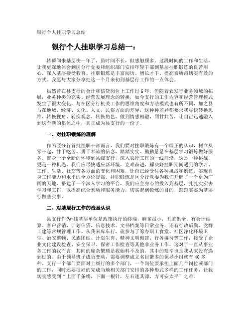 银行个人挂职学习总结