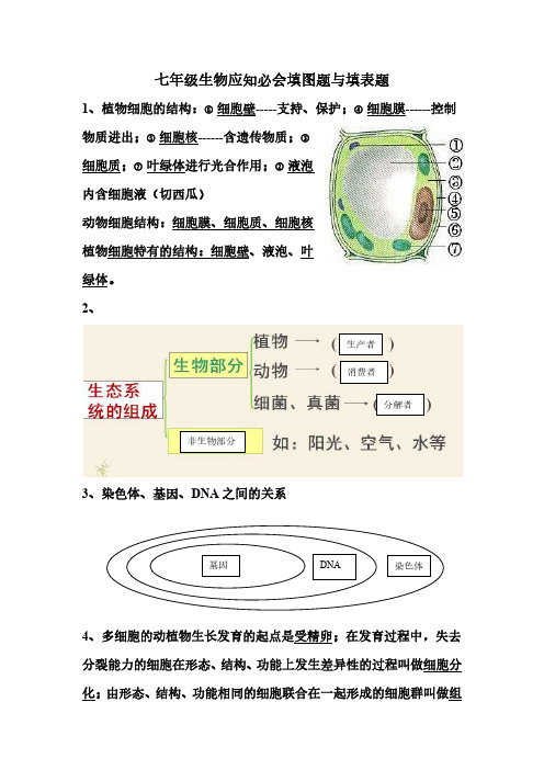 七年级生物应知必会填图题与填表题答案