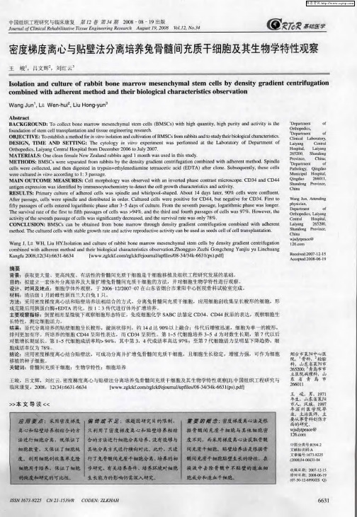 密度梯度离心与贴壁法分离培养免骨髓间充质干细胞及其生物学特性观察