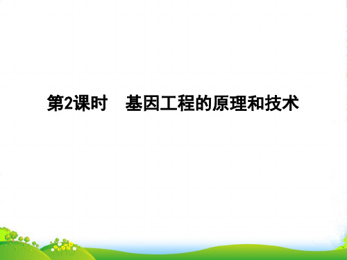 版课堂讲义同步系列高中生物浙科版选修三课件：312基因工程的原理和技术