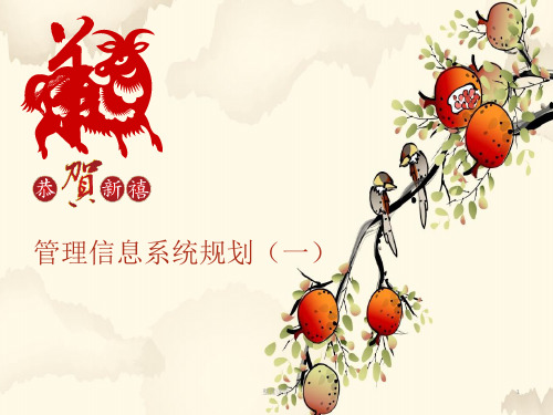 管理信息系统规划