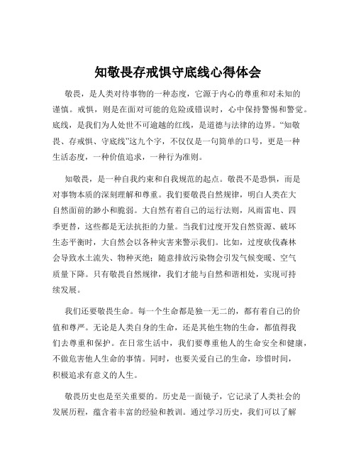 知敬畏存戒惧守底线心得体会