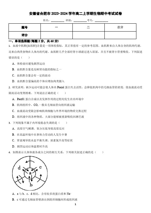 安徽省合肥市2023-2024学年高二上学期生物期中考试试卷(含答案)