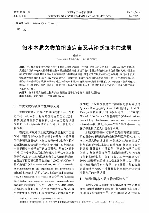 饱水木质文物的细菌病害及其诊断技术的进展