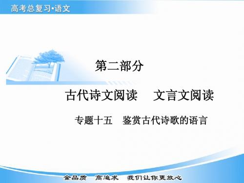 高考语文基础知识总复习精讲课件之鉴赏古代诗歌的语言