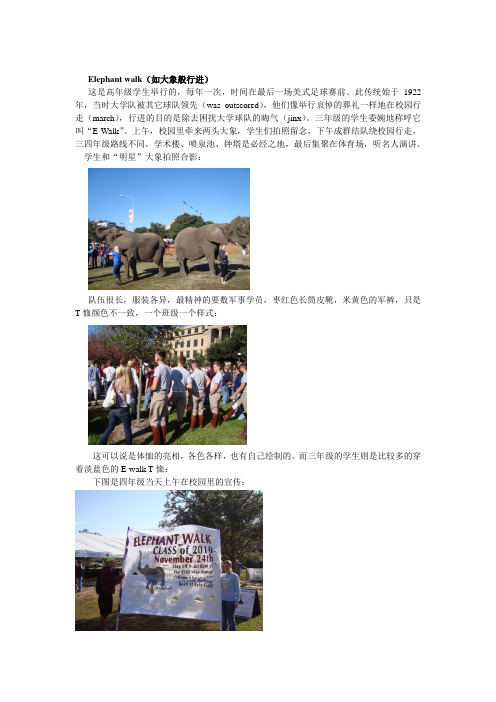 美国大学优良传统6Elephant walk