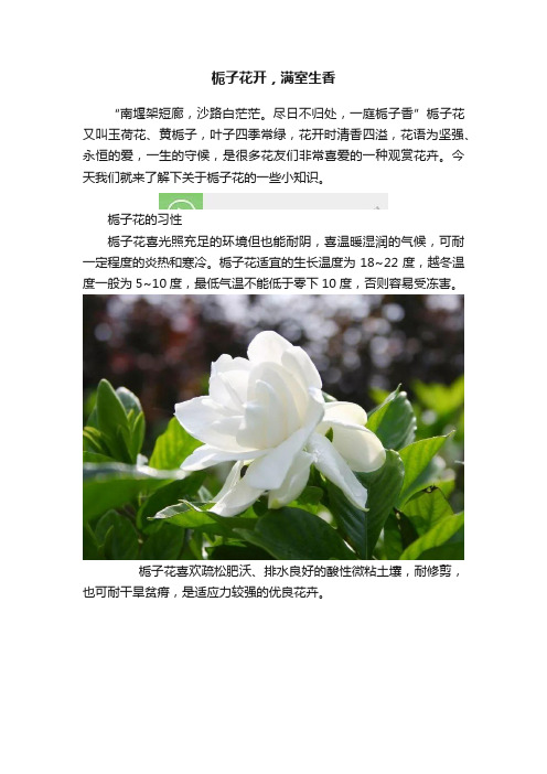 栀子花开，满室生香