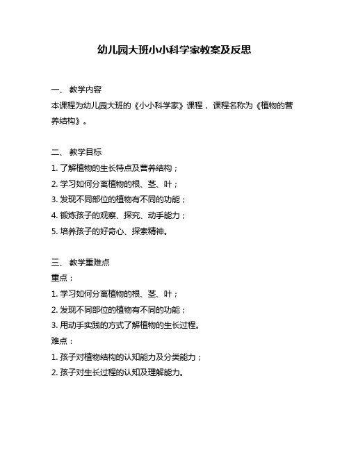 幼儿园大班小小科学家教案及反思