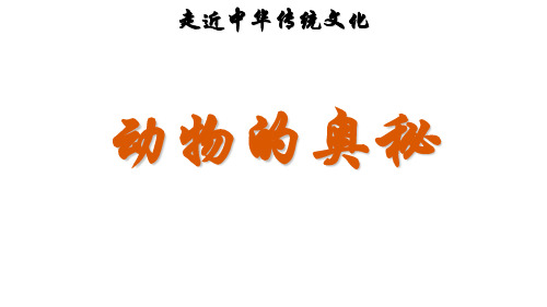 一年级上册语文精品课件传统文化鉴赏:动物的奥秘∣人教ppt(部编版)(19张)精品课件