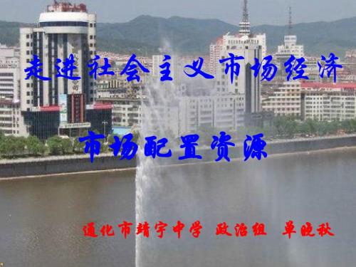 经济常识第四单元第九课一框市场配置资源