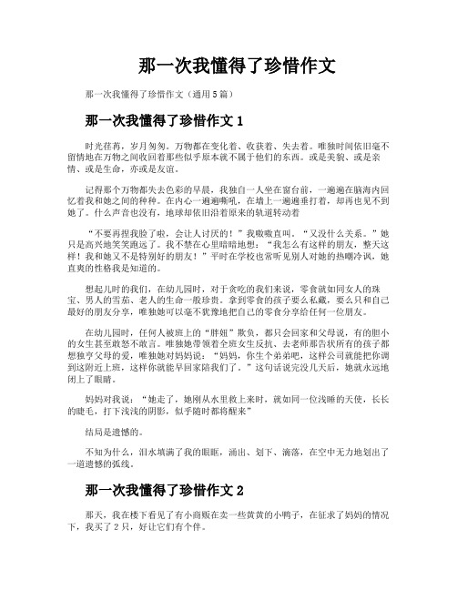 那一次我懂得了珍惜作文