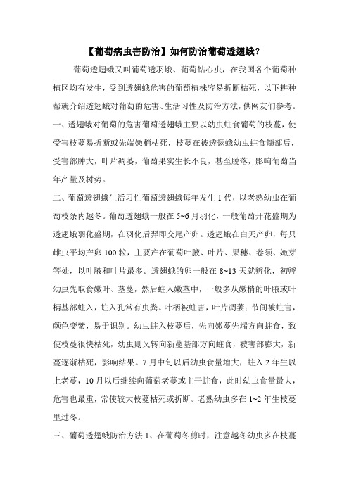 【葡萄病虫害防治】如何防治葡萄透翅蛾?