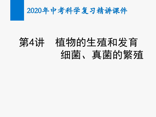 2020年中考科学复习精讲课件第4讲 植物的生殖和发育 细菌、真菌的繁殖