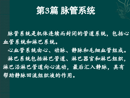 人体解剖学课件-脉管系统-心