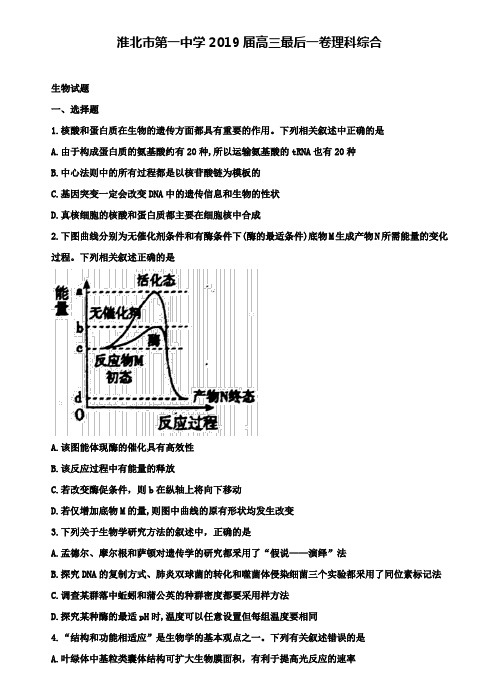 安徽省淮北一中2019届高三最后一卷理综生物+【五套理综模拟卷】