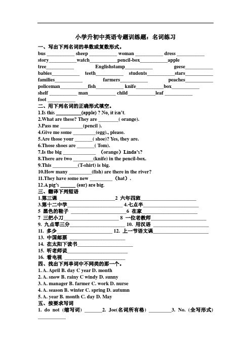 (完整版)小升初英语名词专项训练题