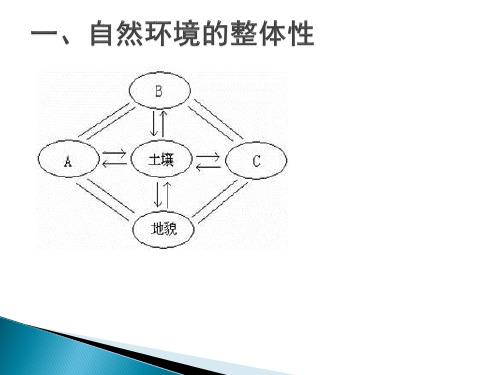 自然环境的整体性和差异性