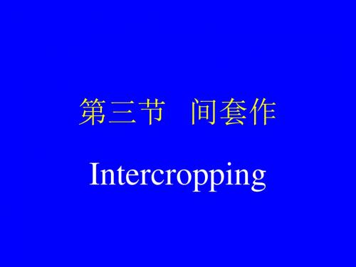 第三节间套作